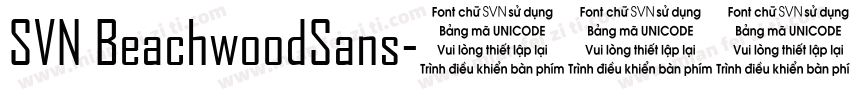 SVN BeachwoodSans字体转换